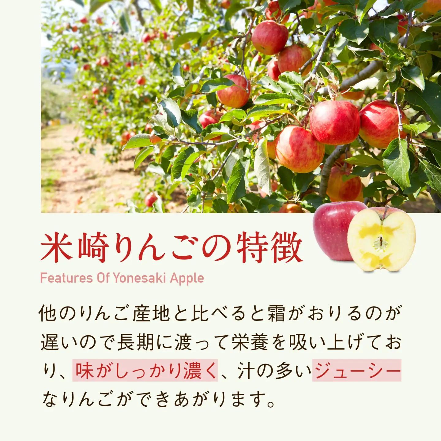 米崎りんご 品種おまかせ 3kg りんご 9月頃から発送予定