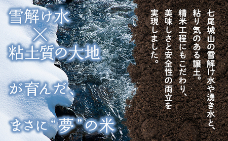 【発送時期が選べる】【新米】令和7年産  能登産 にじのきらめき 能登夢米10kg（精米5kg×2袋）｜お米 白米 精米  にじのきらめき ブランド米 石川県 七尾市 能登 復興 復興支援 ※2025