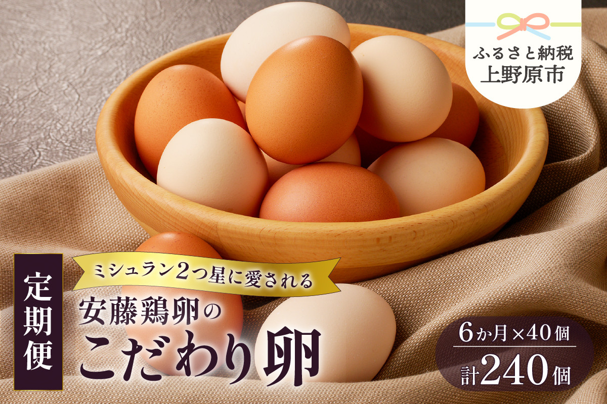 
            【卵 定期便】6ヶ月お届け！ミシュランも選ぶ高級卵セット（40個×6カ月）
          
