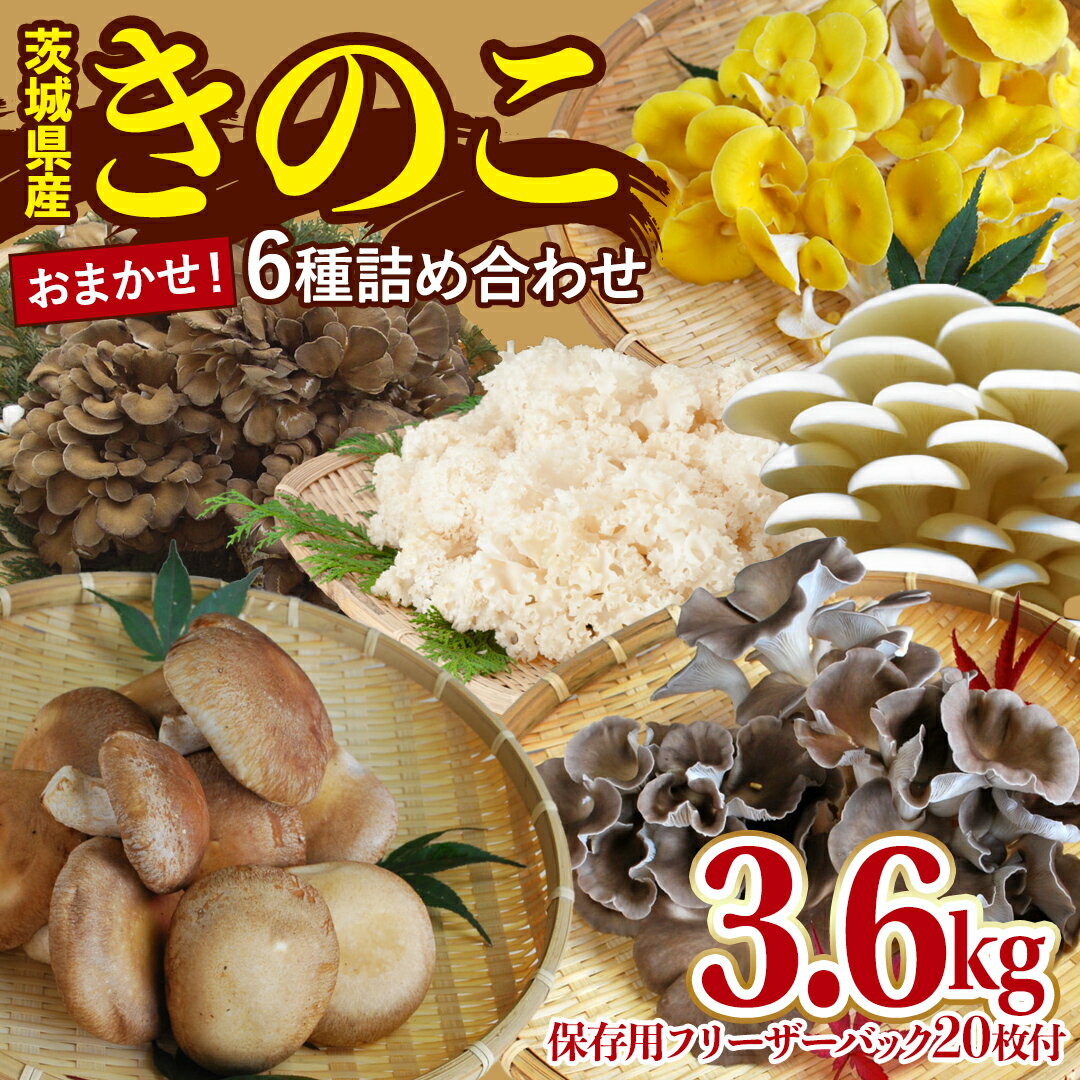 【ふるさと納税】きのこ 6種 詰め合わせ 約3.6kg 【 保存用フリーザーバック 20枚付き 】 大容量 キノコ 舞茸 あわび茸 たもぎ茸 しいたけ 花びら茸 セット 鍋 炒め物