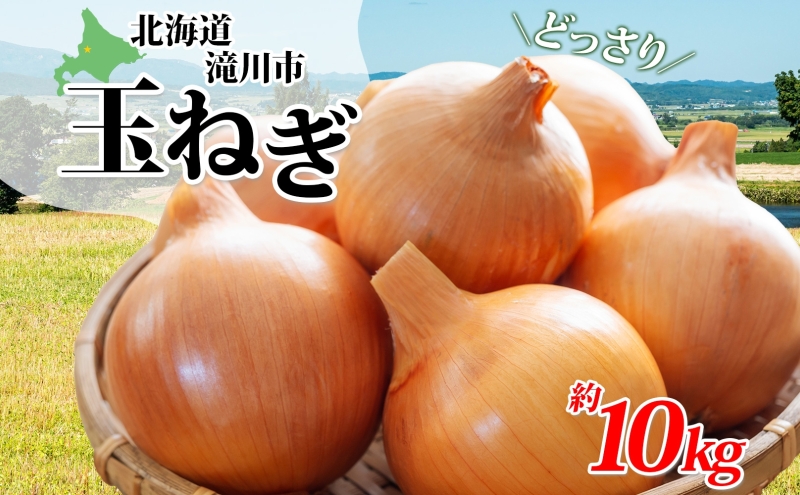 【 ふるさと納税 】北海道産 玉ねぎ 約10kg 空知良品計画 たまねぎ タマネギ 玉葱 まとめ買い 北海道 2024年9月下旬～順次出荷 【 滝川市 】