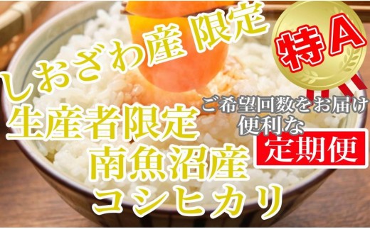 【令和8年産　新米予約】【定期便2kg×6ヶ月】しおざわ産限定 生産者限定 南魚沼産コシヒカリ【定期便 銘柄米 ブランド米 精米 こしひかり コシヒカリ 魚沼産 新潟米 産地直送 お米 米 こめ コメ】【2026年10月上旬から1ヶ月以内に順次発送予定】