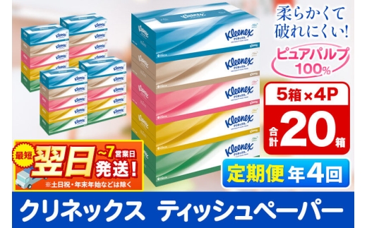 《3ヶ月ごとに4回お届け》定期便 ティッシュ クリネックス 20箱 5箱×4パック 秋田市オリジナル 最短翌日発送 [クリネックス ティッシュ ボックスティッシュ 日本製紙クレシア 定期便]