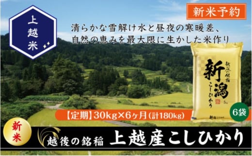 令和7年産 先行予約 新潟県上越産こしひかり 精米 30kg 6か月定期便 上越市 米 コメ コシヒカリ