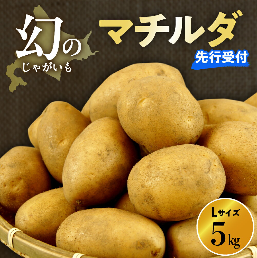 【ふるさと納税】【先行受付】【2026年4月出荷分】十勝めむろ産 越冬 マチルダ Lサイズ 5kg / 北海道産 国産 冷蔵 じゃがいも ジャガイモ 芋 いも イモ ポテト 5キロ 野菜 肉じゃが ポテトサラダ カレー BBQ お取り寄せ 北海道 十勝 芽室町