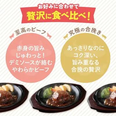 Z61-87 【4回定期便】どっちのハンバーグ(デミグラスソース)20個【ビーフ・合挽 各10個】 ハンバーグ