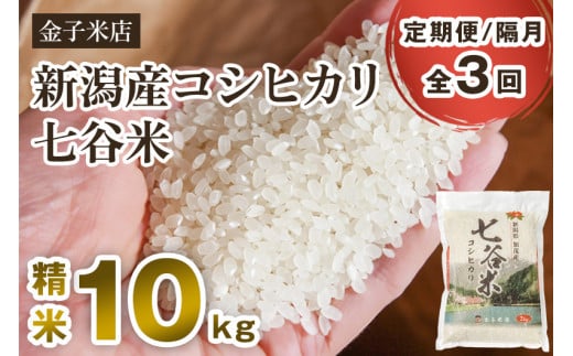 【令和7年産】【定期便3回隔月お届け】老舗米穀店が厳選 新潟産 従来品種コシヒカリ「七谷米」精米10kg（5kg×2）〈順次出荷〉 白米 窒素ガス充填パックで鮮度長持ち 金子米店 定期便