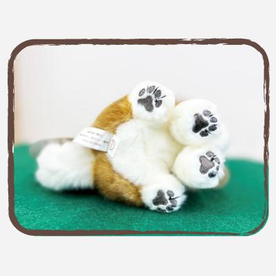 ふるさと納税 大館市 <よちよちあきた>秋田犬赤毛ぬいぐるみ　座り　Sサイズ |  | 03