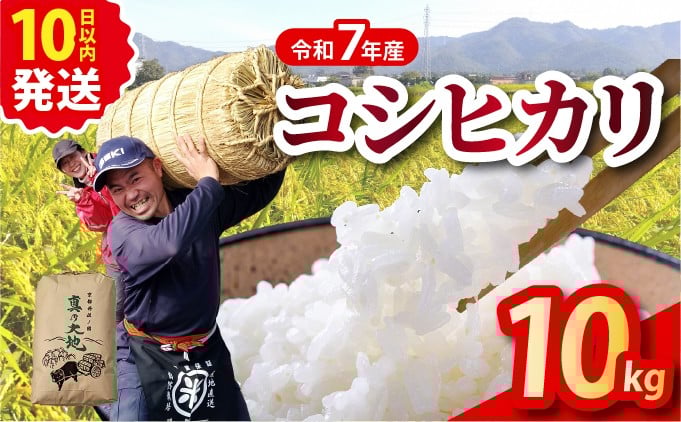 
                  令和7年産 京都丹波産 米 こしひかり 精米 10kg × 1袋【京都丹波カントリー】白米 米 お米 こめ コメ ライス ご飯 ごはん もっちり つやつや おいしい 美味しい 贈り物 単一原料米 国産 コシヒカリ 仕送り お取り寄せ 産地直送  農家直送 おすすめ スピード配送 10キロ 10きろ １０キロ １０ｋｇ ※北海道･沖縄･離島への配送不可
                