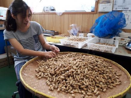 ぶんごたかだ特製塩煎り落花生詰合せ（100g×5袋）