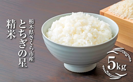 
            令和7年度　栃木県さくら市産とちぎの星　精米5kg｜米　白米　コメ　こめ　菜っ葉館※2025年11月上旬頃から順次発送予定
          