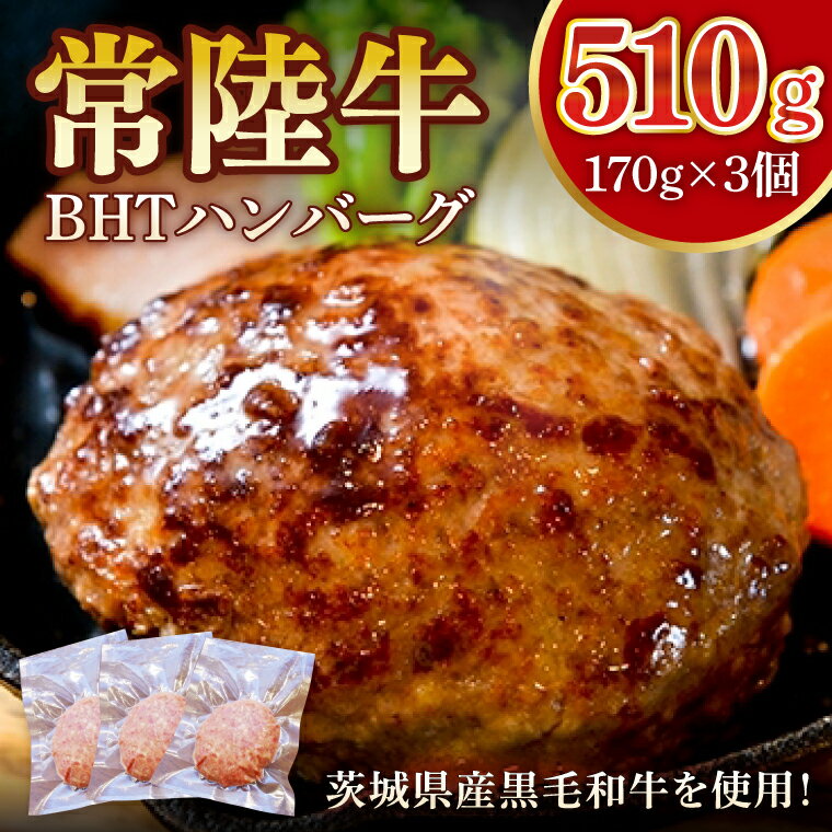 【ふるさと納税】常陸牛　BHTハンバーグ【ひたちぎゅう ひたちうし ジューシー 肉汁 専門店の味】(BY201)