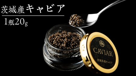 つくばスタージョン キャビア 20ｇ×1 キャビア 高級食材 記念日 誕生日 世界三大珍味 国産キャビア 茨城県産 茨城 [AI005sa]