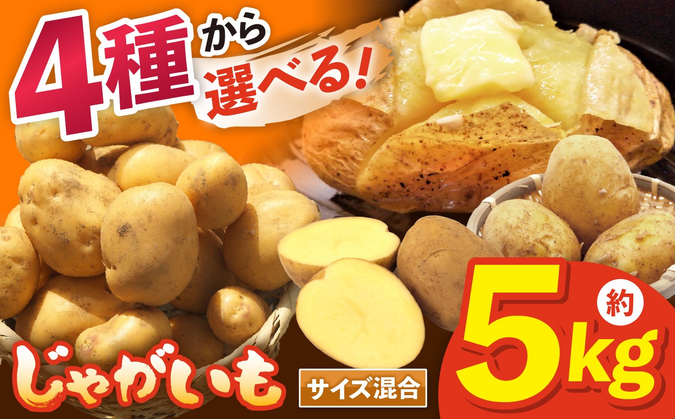 
                  【選べる品種】兵庫安心ブランドのじゃがいも S～L混合サイズ約5kg 栽培期間中農薬・化成肥料不使用 | インカのめざめ グランドペチカ 十勝こがね キタアカリ じゃがいも 野菜 ひょうご安心ブランド 農薬不使用 化成肥料不使用 安心 安全 こだわり 美味しい 食品 兵庫県 上郡町
                