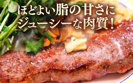 【全12回定期便】おおいた和牛 リブロースステーキ 250g(250g×1枚) 日田市 / 株式会社OTOGINO[AREF141]