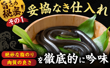 【6回定期便】中国産ニホンウナギ　特大蒲焼（220g×2尾） 広川町 / イールファクトリー株式会社[AFBS007]