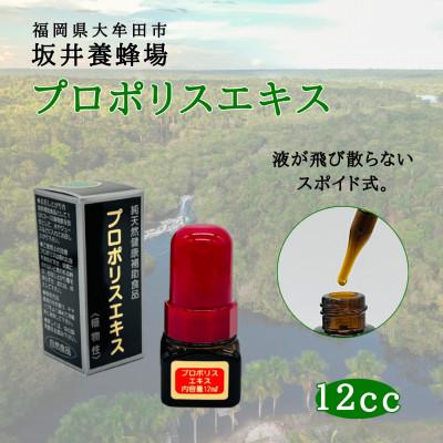 ふるさと納税 大牟田市 プロポリスエキス　12cc