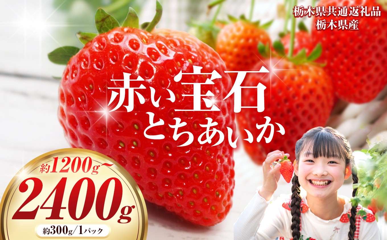 
            【栃木県共通返礼品】【先行予約】【選べるグラム数】赤い宝石「とちあいか」300g×4P 1200g 2400g| 先行予約 選べる いちご 苺 とちあいか 栃木県 那珂川町 送料無料 デザート ご褒美 美味しい 甘い フルーツ ジューシー 
          