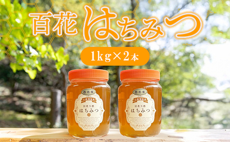 純粋天然 百花はちみつ 1kg×2本