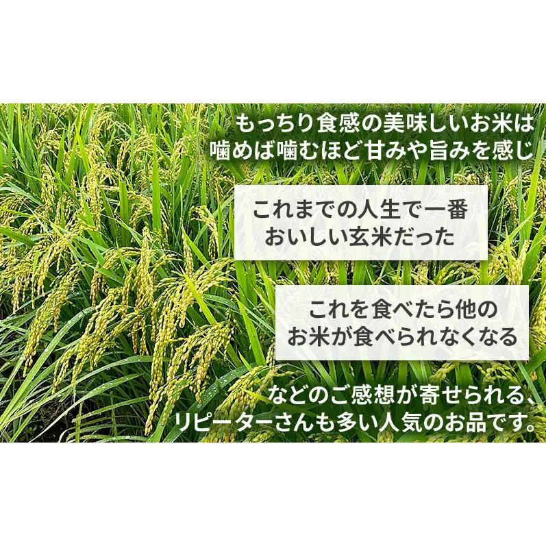 米 コウノトリ舞う田んぼで大自然が育てた"有無ファーム"こだわり米 白米 5kg 精米 お米 栽培期間中農薬・化学肥料不使用