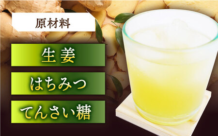 【全12回定期便】HAO！ジンジャーシロップ 2本 （160g/本) [DAA018] ジンジャー 生姜 ジンジャーエール シロップ スパイス  常温 [DAA018]