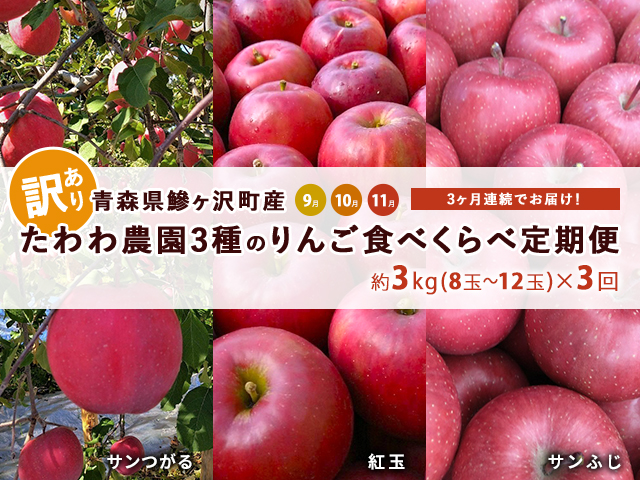 りんご 定期便 3ヶ月 青森 訳あり リンゴ 3種 サンつがる 紅玉 サンふじ 約3kg (8～12玉)  3回 たわわ農園 フルーツ 果物 定期 9月・10月・11月発送予定 オンライン決済限定 