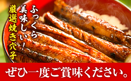 焼き穴子 約500g あなご