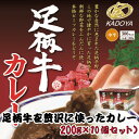 【ふるさと納税】足柄牛を贅沢に使ったカレー200g×10個セット【配送不可地域：離島】【1507107】