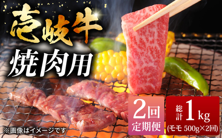 【全2回定期便】壱岐牛焼き肉セット 500g《壱岐市》【株式会社ヤマグチ】牛肉 黒毛和牛 ブランド牛 九州 肉[JCG126]