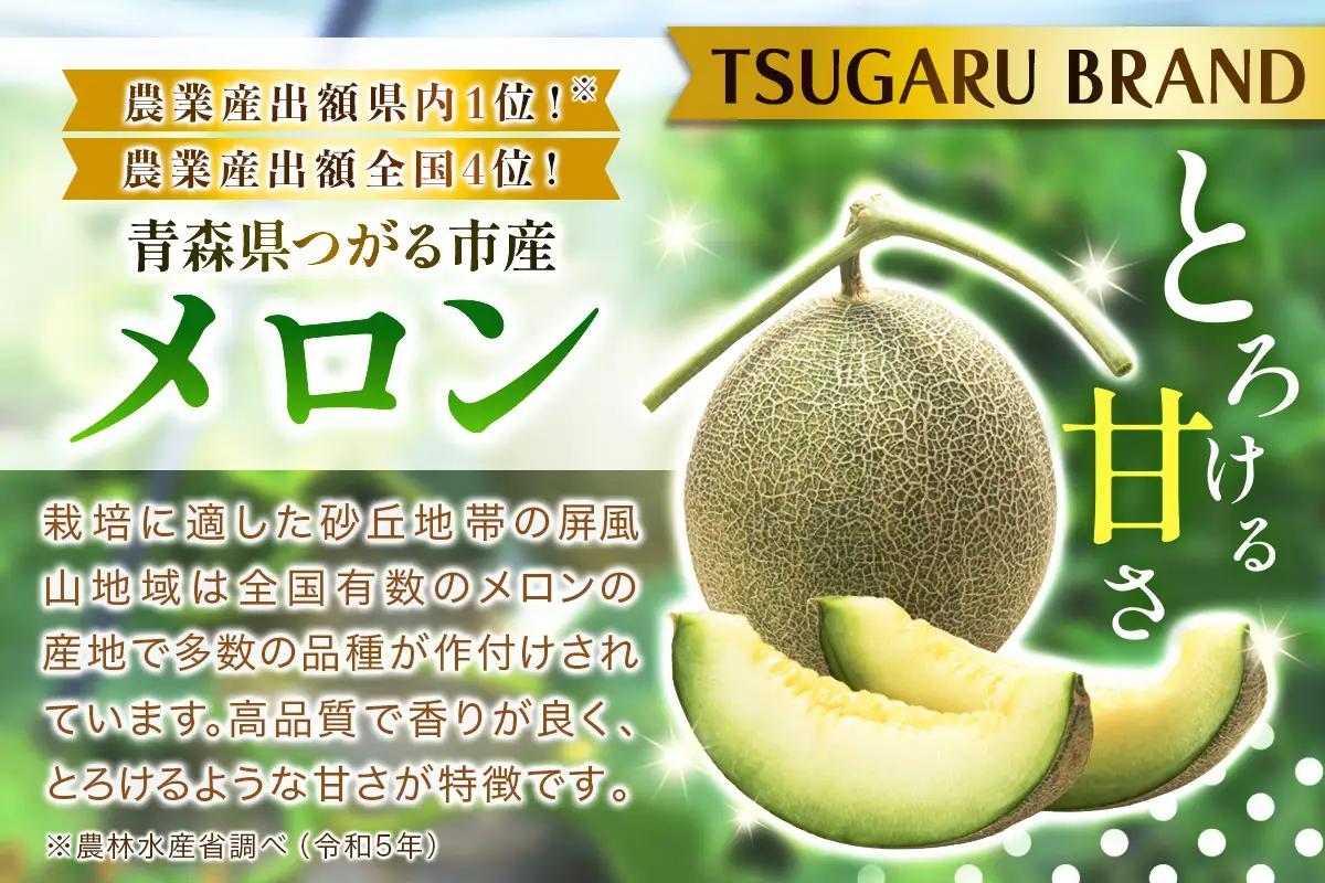 プレミアム タカミ メロン (2玉) 糖度 17度以上 [1010]