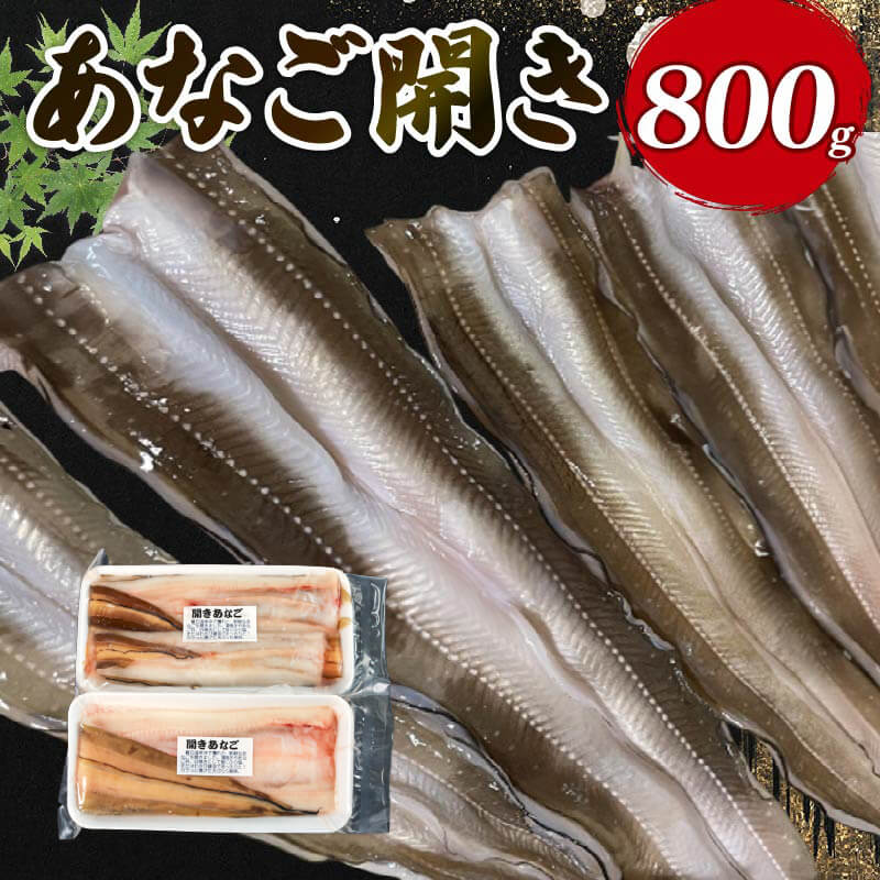 【ふるさと納税】 あなご開き 2～3パック ( 計800g ) 冷凍 あなご 穴子 アナゴ 蒲焼 白焼き お吸い物 天ぷら 煮穴子 和食 海産物 味噌汁 ごはん 夕飯 おかず 大船渡 三陸 岩手県 国産