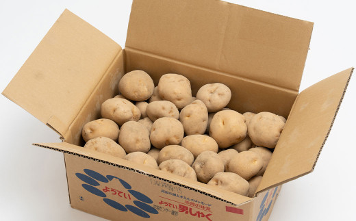 じゃがいも 男爵 Lサイズ 約10kg×2箱 計約20kg （JA） ジャガイモ 芋 いも イモ 国産 【2026年9月下旬～2027年2月下旬迄発送予定】_イメージ5