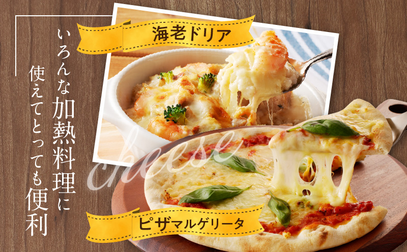 JUCOVIA ミックスチーズ 定期便 1kg×全3回 ムラカワチーズ【毎月配送コース】 099Z336