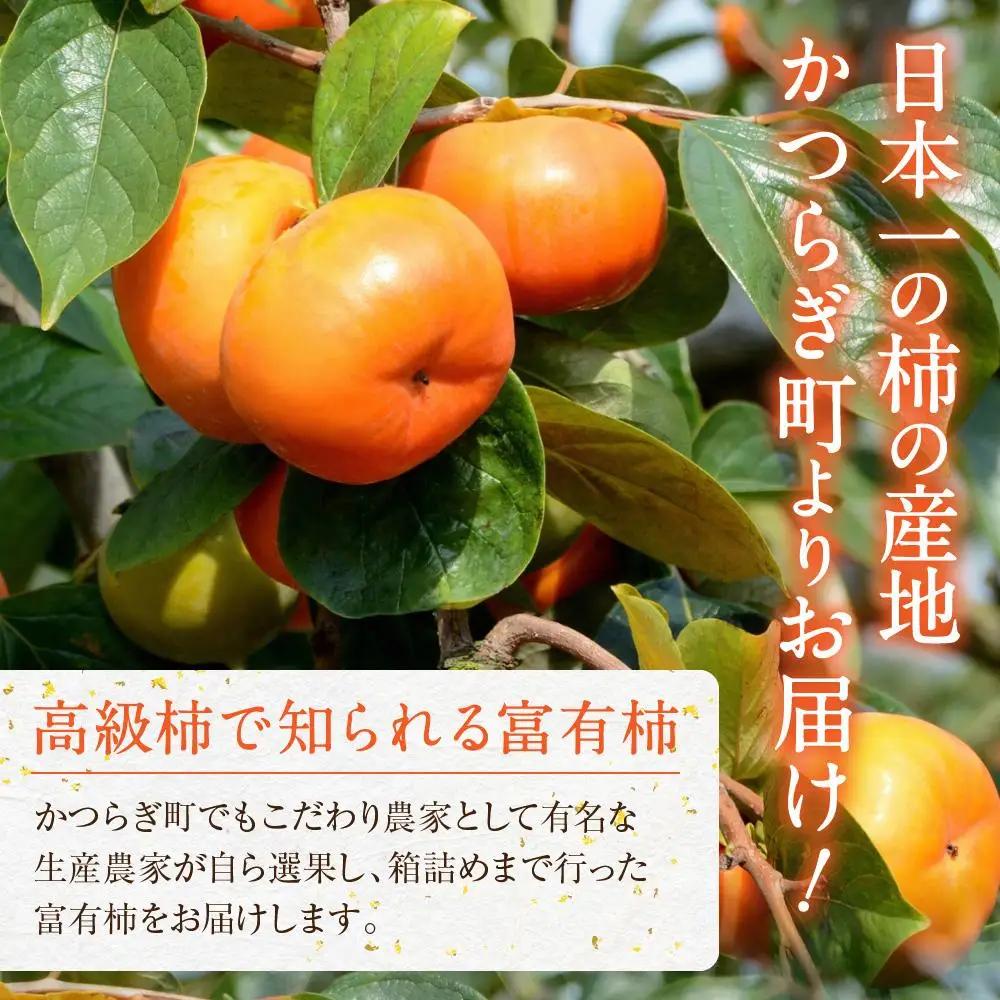 先行予約 富有柿 秀品6～8個入り こだわり農家厳選［2026年11月初旬頃から12月上旬頃順次発送］［KG25］