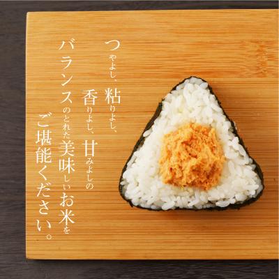 ふるさと納税 天草市 【6ヶ月定期便】コシヒカリ 精米 5kg_S050-T04A |  | 01