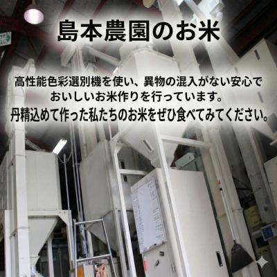 ふるさと納税 小松島市 【配送時期が選べる】米 コシヒカリ 10kg 小松島市 令和7年産 精米 白米 |  | 02