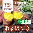 【ふるさと納税】【順次発送可能】【数量限定】新品種！あまはづき 芋苗（40本）※2024年5月下旬～8月初旬頃に順次発送予定