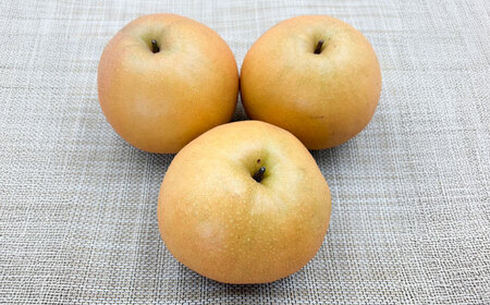 佐賀県産 梨（品種おまかせ）5kg / 和梨 果物 フルーツ 幸水 豊水 / 佐賀県 / リフルット株式会社[41ABAA025]