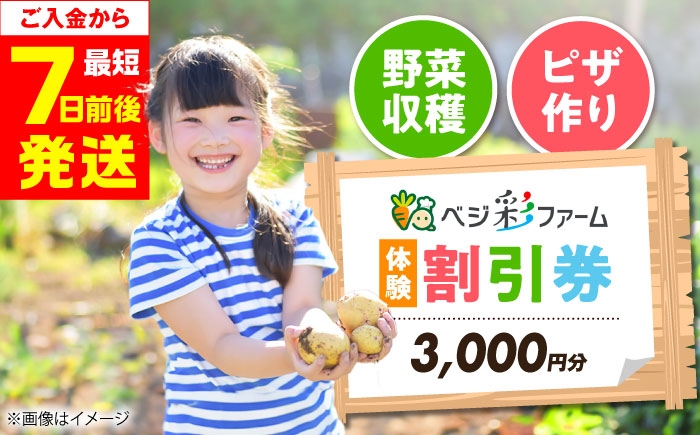 
            ベジ彩ファーム　割引チケット 3,000円分 体験 国内 野菜収穫 ピザづくり 親子体験 大阪府高槻市/ベジ彩ファーム [AOEJ001]
          