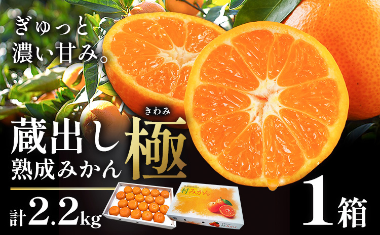 【先行予約】蔵出し熟成みかん『極』《2月上旬-2月末頃出荷予定》みかん ミカン 蜜柑 mikan 貯蔵 温州 うんしゅう 晩成 柑橘 佐那河内 さなごうち 徳島県 箱入り 化粧箱 S M L フルーツ