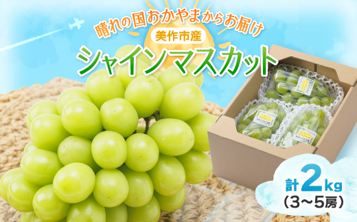 【2025年先行受付】岡山県美作市産　シャインマスカット　2kg(3～5房)【配送不可地域：離島】