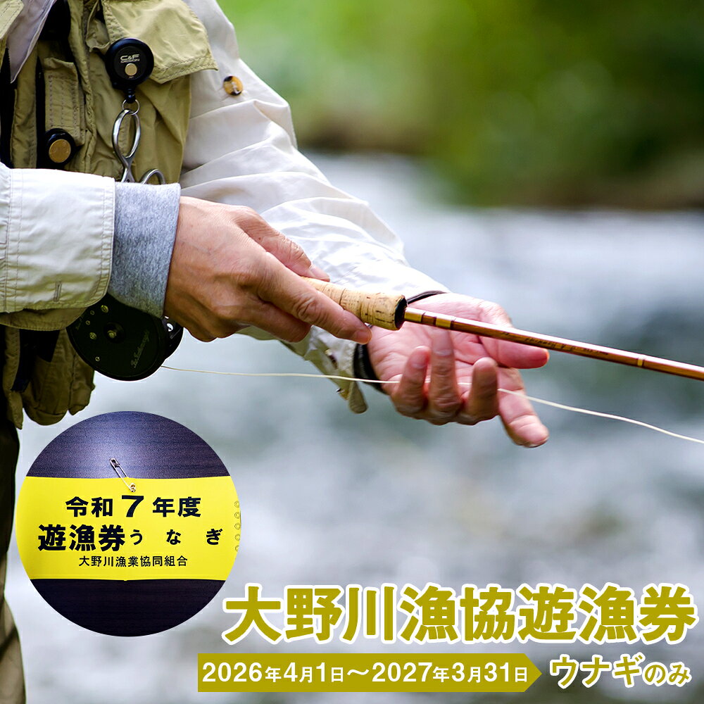 【ふるさと納税】大野川漁協遊漁券 ウナギのみ 腕章 1セット 釣り 大分県豊後大野市 一級河川 大野川 九州 送料無料 【有効期間：2027年3月31日まで】