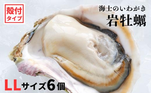 【海士のいわがき】新鮮クリーミーな高級岩牡蠣 殻付きLLサイズ×６個