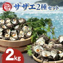 【ふるさと納税】壱岐島 サザエ 2種セット 合計約2kg 《壱岐市》【マルショウ水産】[JBB002] 24000 24000円 お刺身 産地直送 冷蔵配送 サザエ さざえ 栄螺 つぼ焼き 冷蔵 生 刺身 BBQ