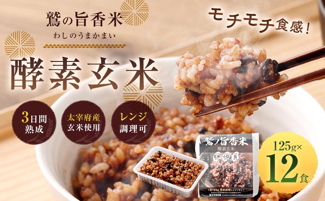 
                  鷲の旨香米 酵素玄米 12食 玄米 お米 米 こめ コメ ご飯 飯 酵素 発芽玄米 発芽 おにぎり 和食
                