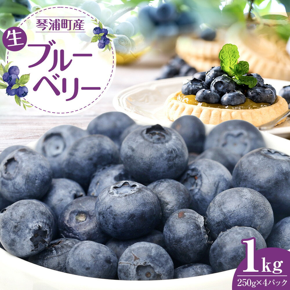【ふるさと納税】【先行予約 2026年6月下旬以降発送】琴浦町産生ブルーベリー1kg（250g×4パック） | フルーツ 果物 くだもの 食品 人気 おすすめ 送料無料