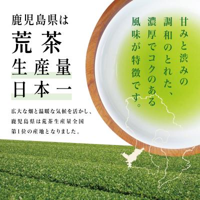 ふるさと納税 南さつま市 【鹿児島県産緑茶】かごしまのお茶 かせだみどり(80g×5袋) 茶葉 5本セット 贈答 ギフト |  | 01