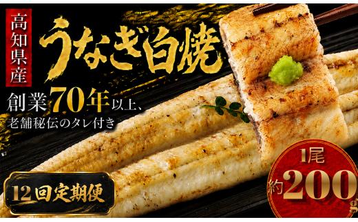【12回 定期便】 高知県産 うなぎ 白焼 1尾 | 国産 日本産 うな重 うな丼 鰻 ウナギ 有頭 白焼き しらやき 土用丑の日 土用の丑の日 丑の日 魚 魚介 魚貝 海鮮 高級 贅沢 特別 老舗 初音 釜めし初音 鰻蒲焼 タレ付き タレ 贈答 お取り寄せ 冷凍 うな重 ギフト 贈り物 お祝い プレゼント ご褒美 人気 おすすめ 湯煎 簡単 調理 おかず お手軽 ご当地 グルメ 高知県 南国市