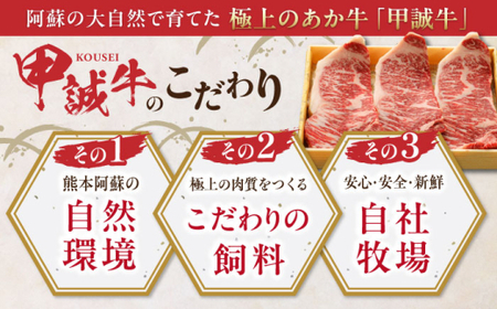 【全6回定期便】あか牛サーロインステーキ 約200g×3枚 【有限会社 三協畜産】[AYCQ061]