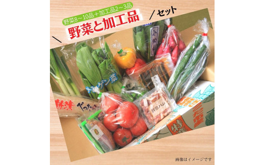 
旬菜館オリジナル【野菜と加工品】セット
